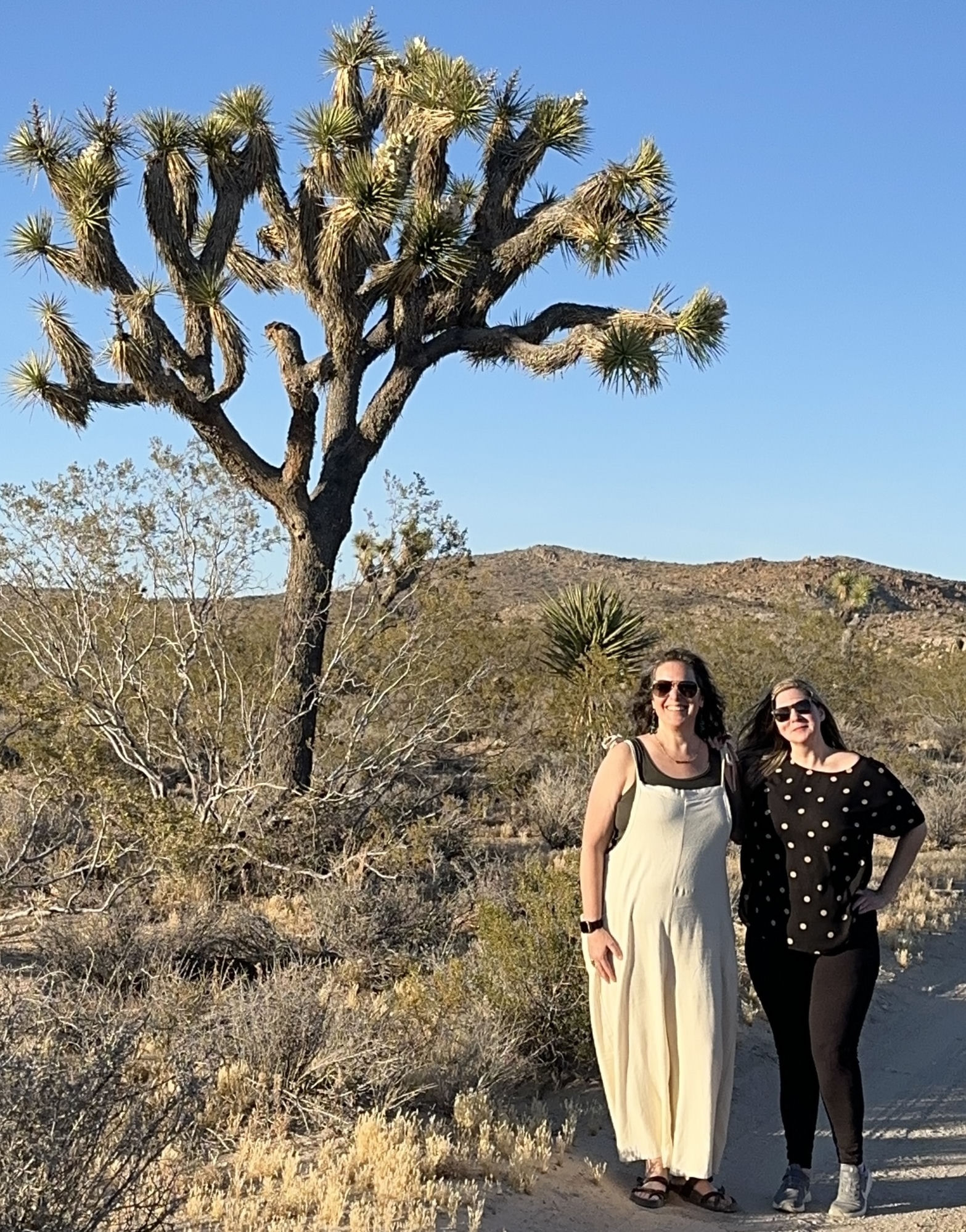 Melissa Grisi and Monica McNeeley standing beside a Joshua tree in the desert