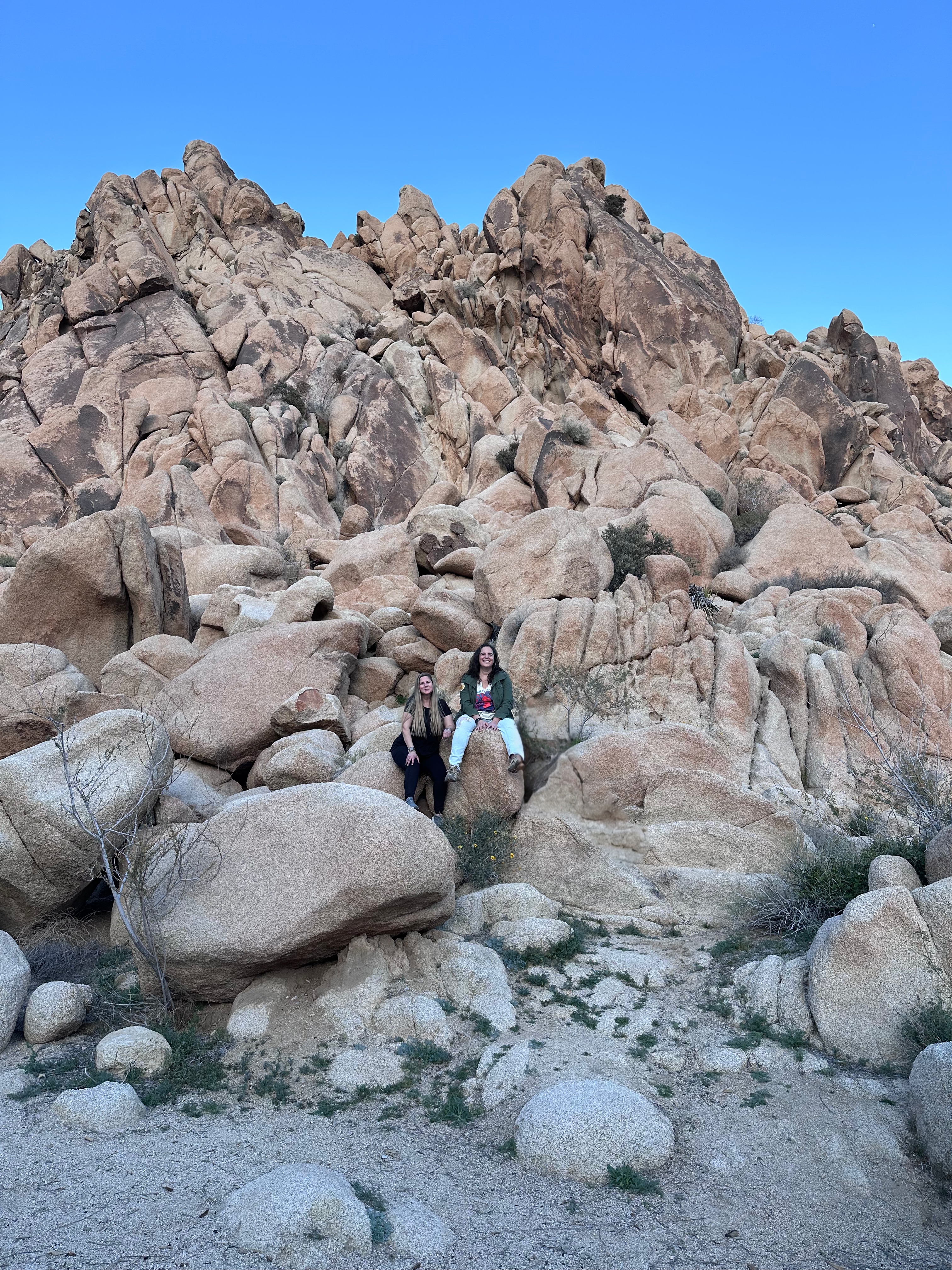Melissa Grisi and Monica McNeeley sitting together on rocks in Joshua Tree